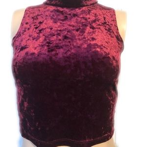Velvet Crop Top
